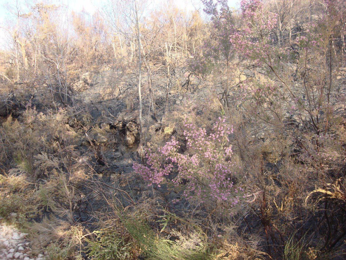 [DSC01442+[Desktop+Resolution].JPG]