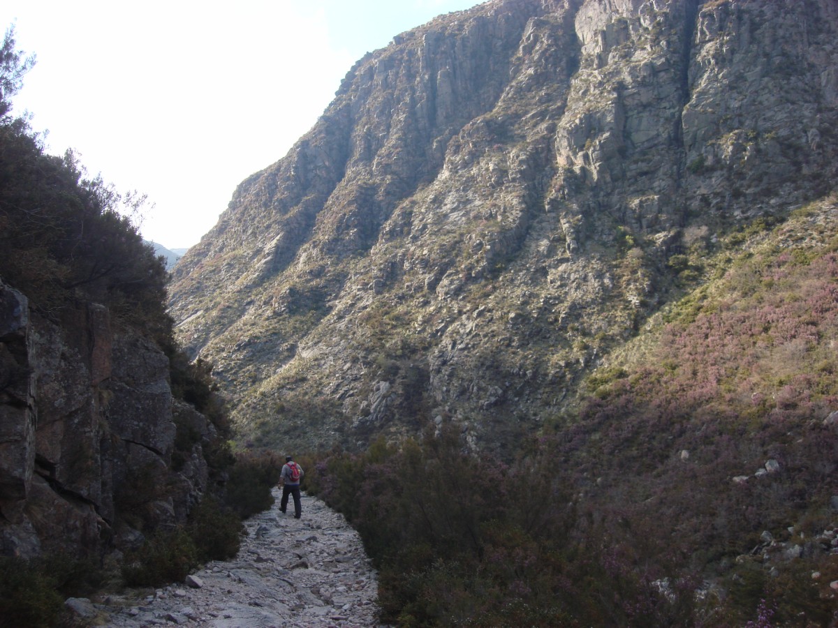 [DSC01417+[Desktop+Resolution].JPG]