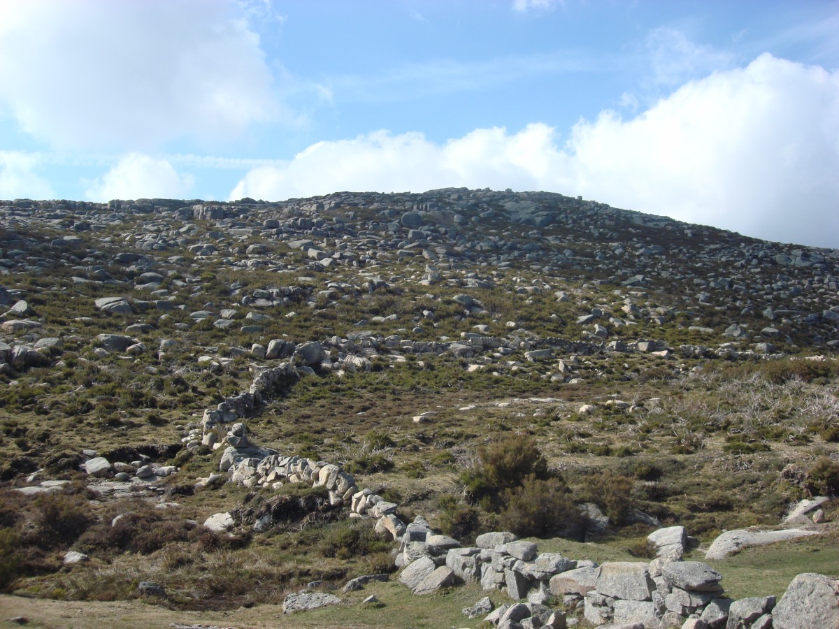 [DSC01389+[Desktop+Resolution].JPG]