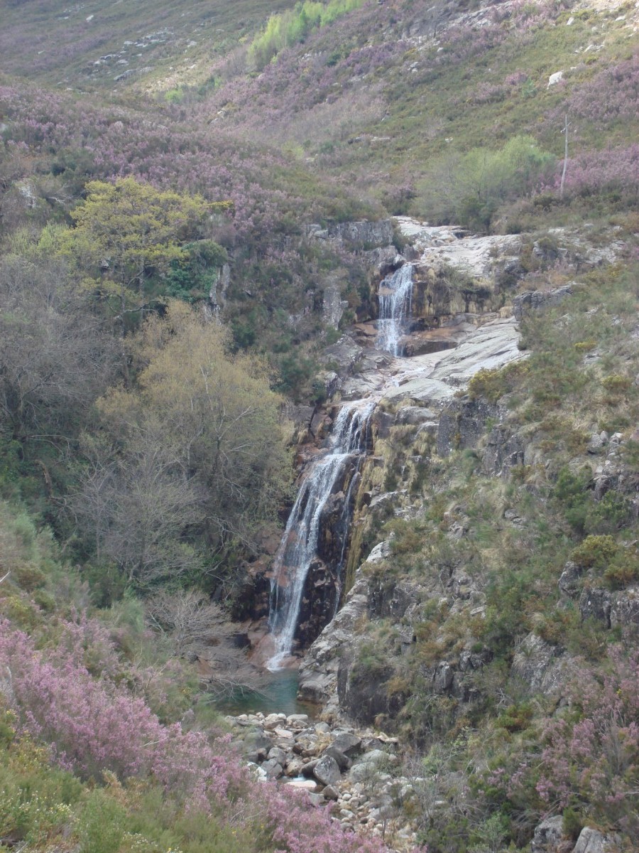 [DSC01315+[Desktop+Resolution].JPG]