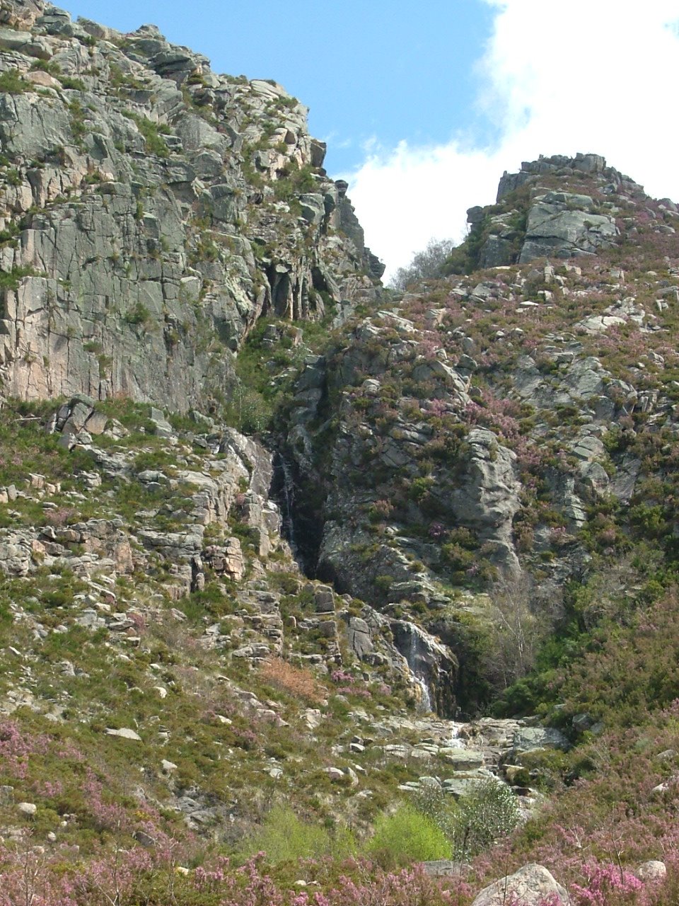 [DSC01315+[DSCF1256].JPG]