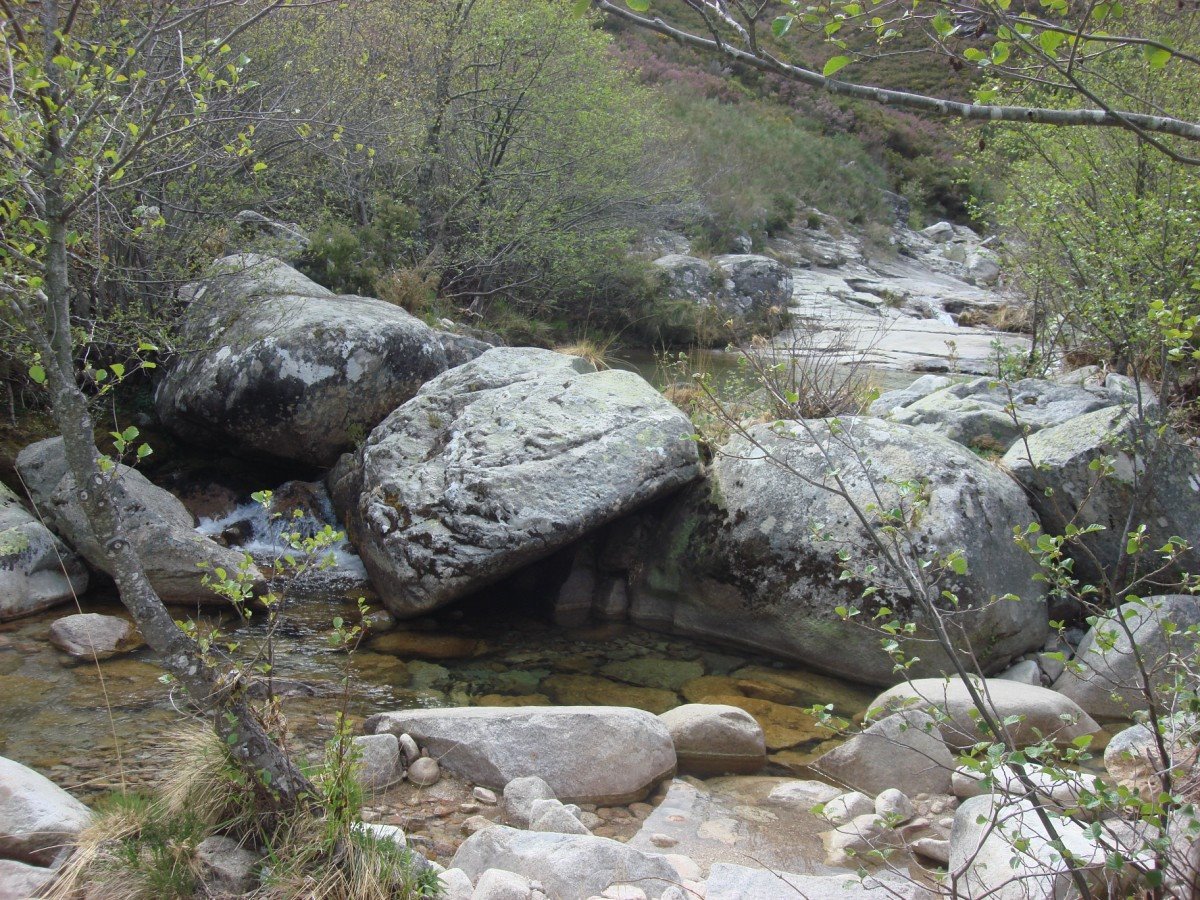 [DSC01262+[Desktop+Resolution].JPG]