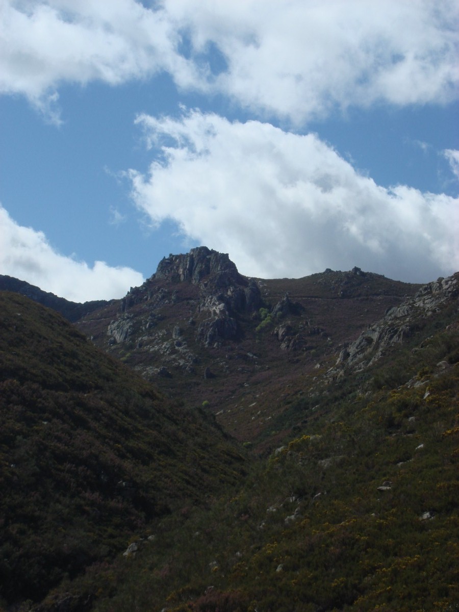 [DSC01286+[Desktop+Resolution].JPG]