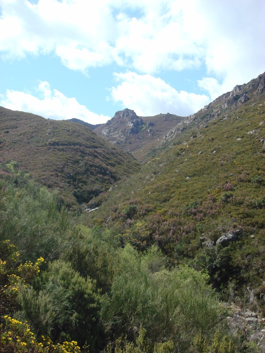 [DSC01284+[Desktop+Resolution].JPG]