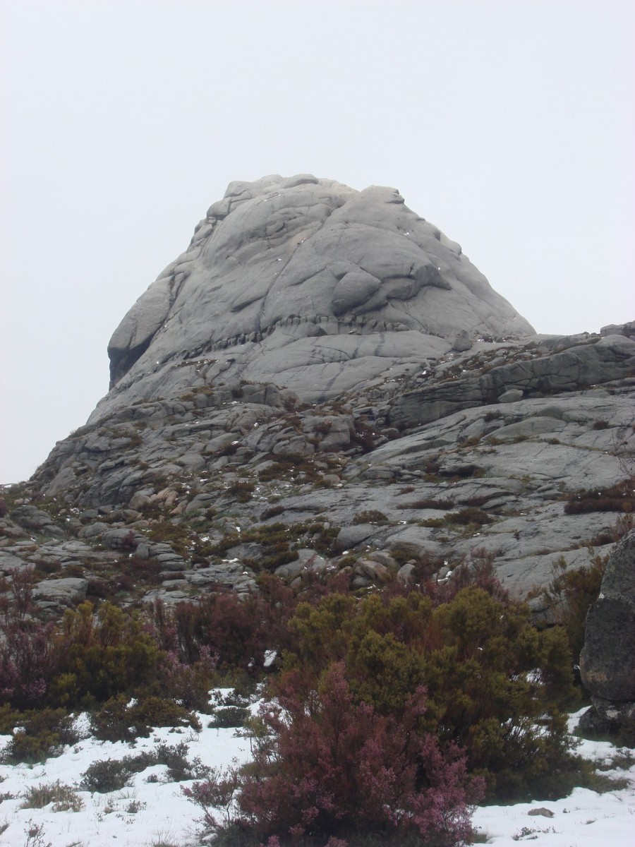 [DSC02973+[Desktop+Resolution].JPG]