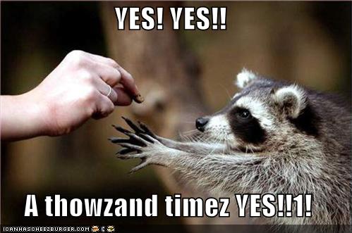 [funny-pictures-racoon-yes.jpg]