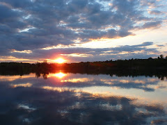 Cunovo Lake