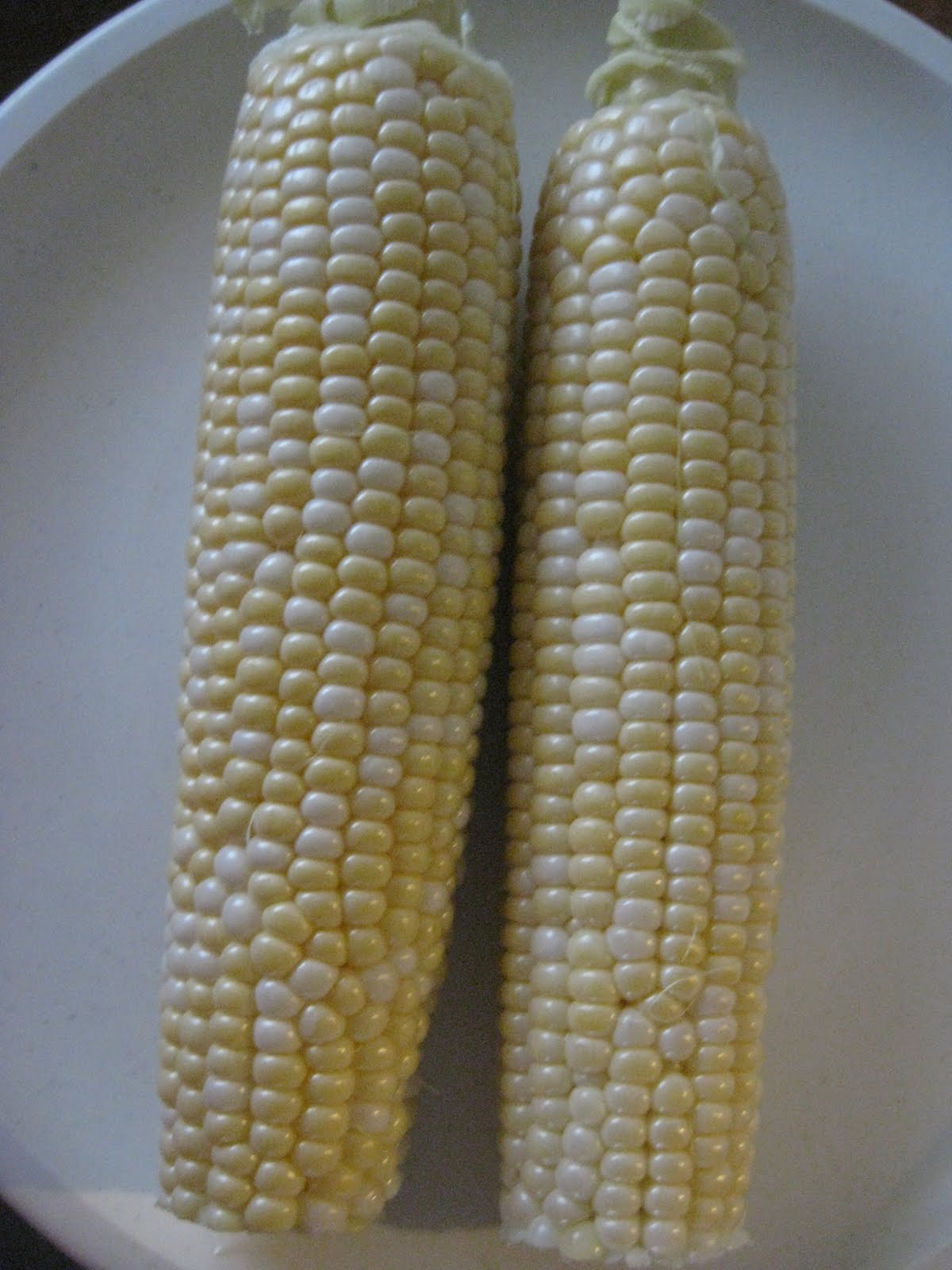 No Weeds Allowed "Gotta Have It" Sweet Corn