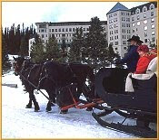 Brewster Adventures Latest News 2009 11