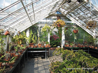 Sonnenberg Gardens - The Greenhouse Conservatory