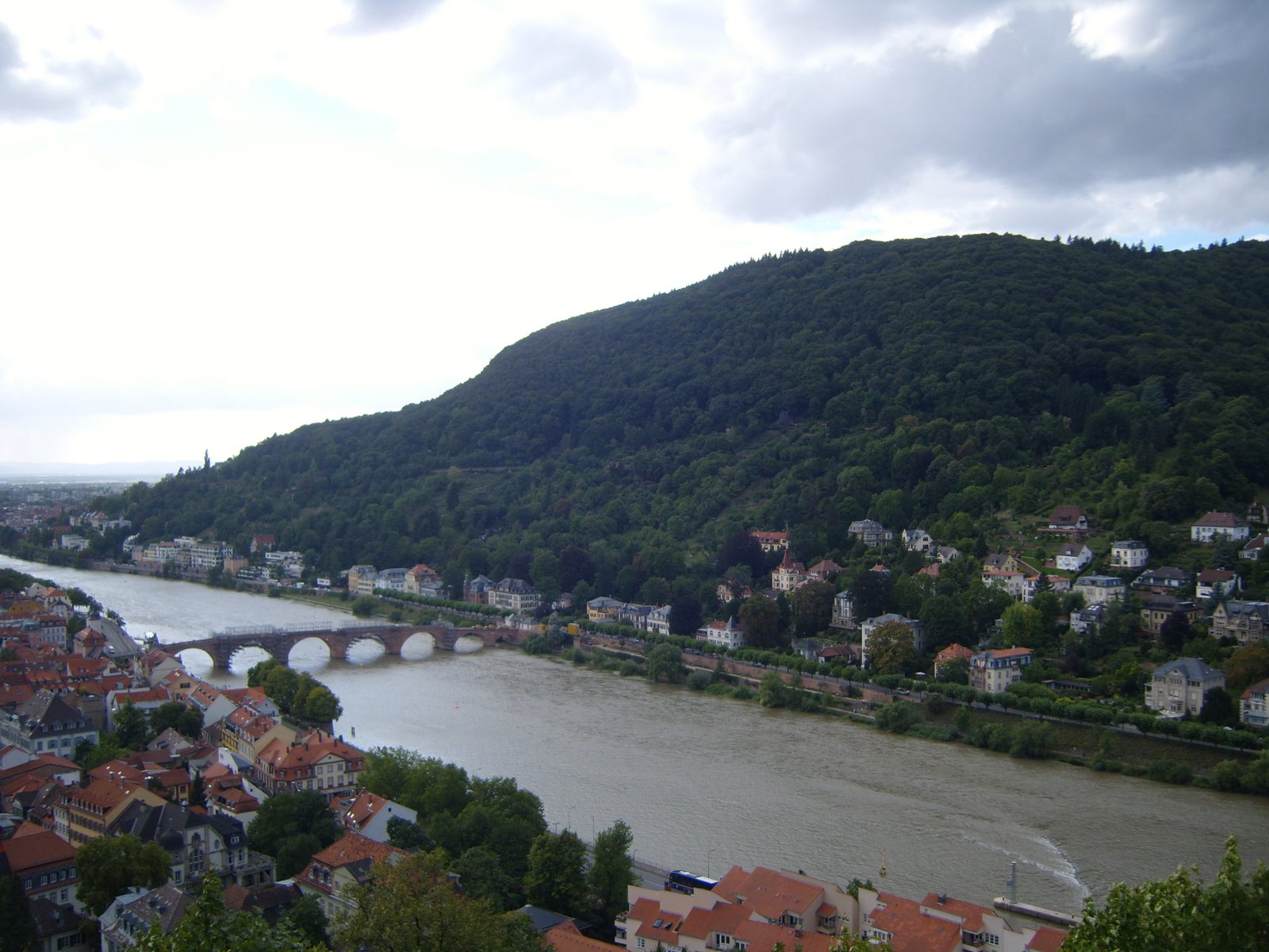 [Heidelberg+(241).jpg]