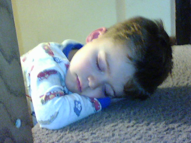 Andrew snoozing on stairs