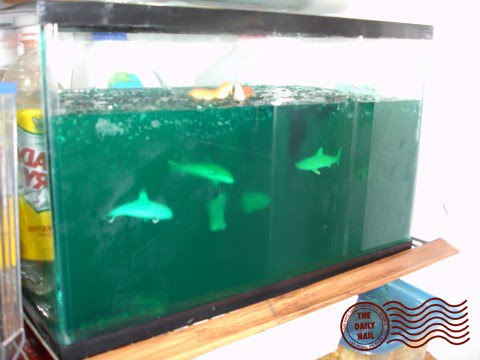 Jello Fish Tank