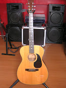 Roderich Peasold 6-string