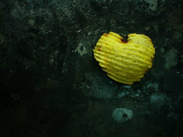 [DSC02732+-+Cópia.JPG]