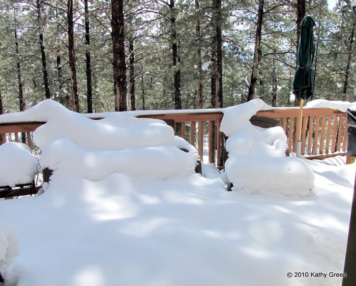 Gardening for Nature: April 2010