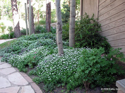 front yard landscaping ideas for small. front yard landscaping ideas