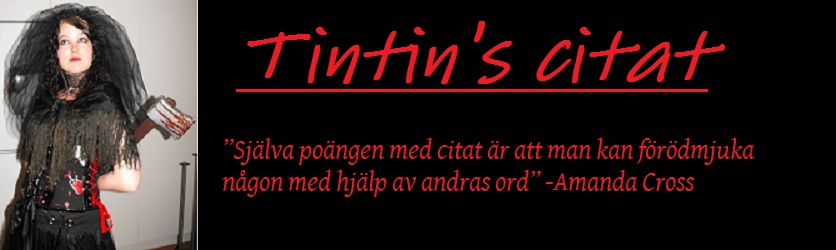 Tintin silvers citatblogg