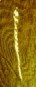 Anasazi Sun Dagger