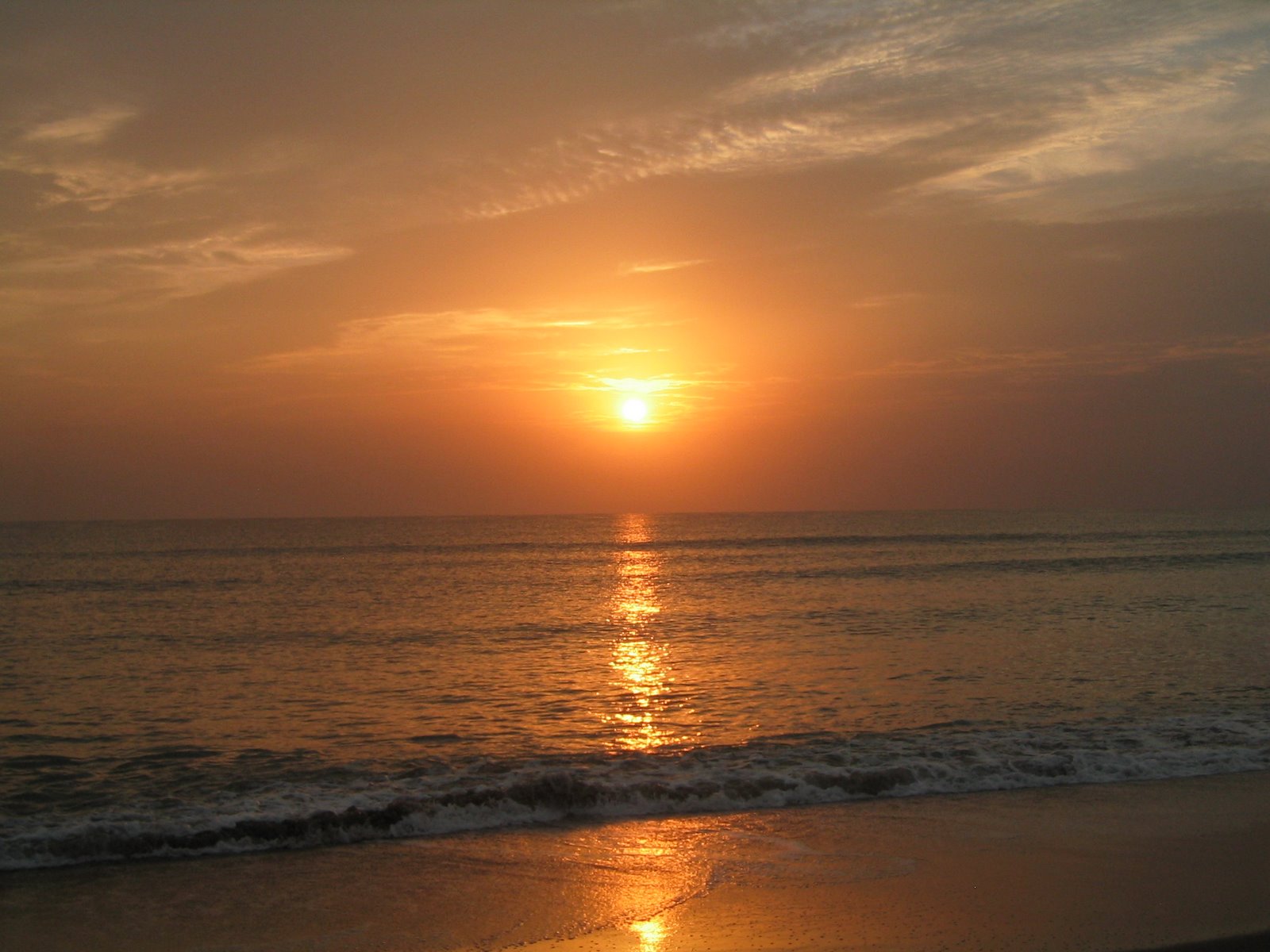 [IMG_4502.JPG]