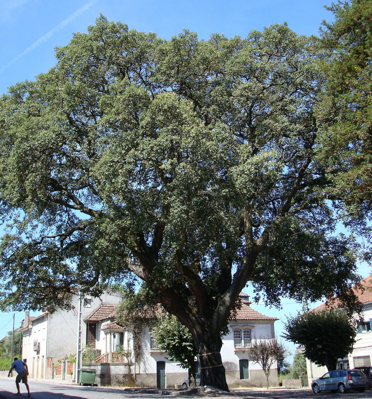 [DSC01502_edited.JPG]