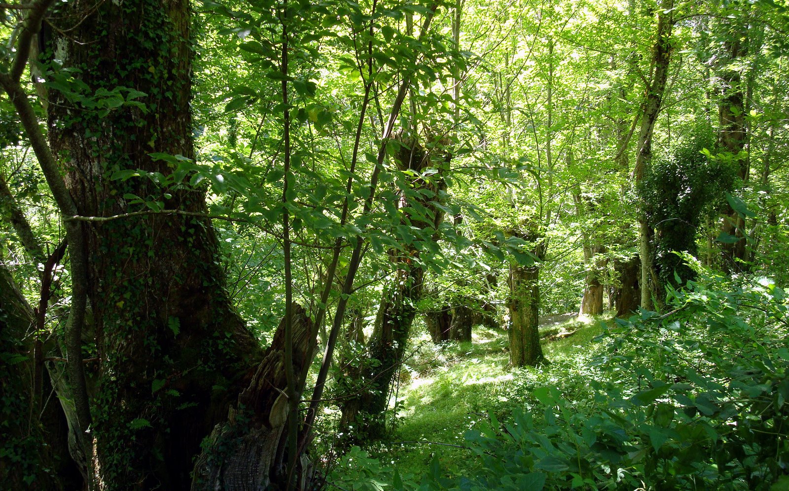 [DSC01750_edited.JPG]