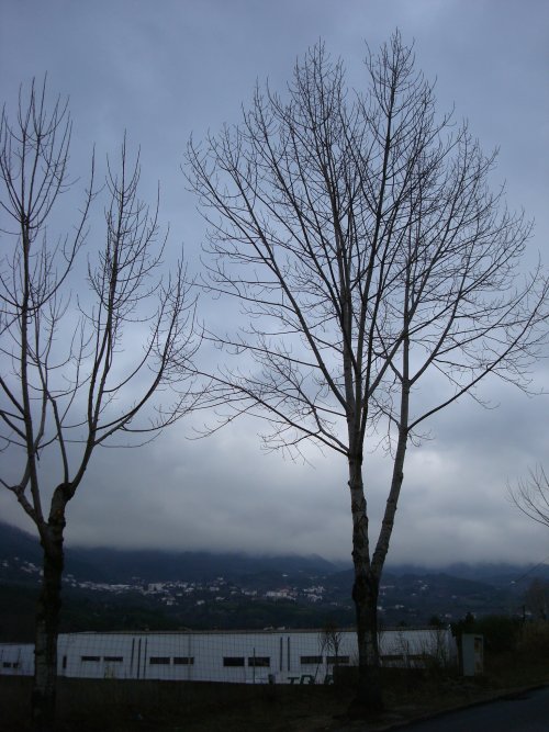 [DSC01954.JPG]