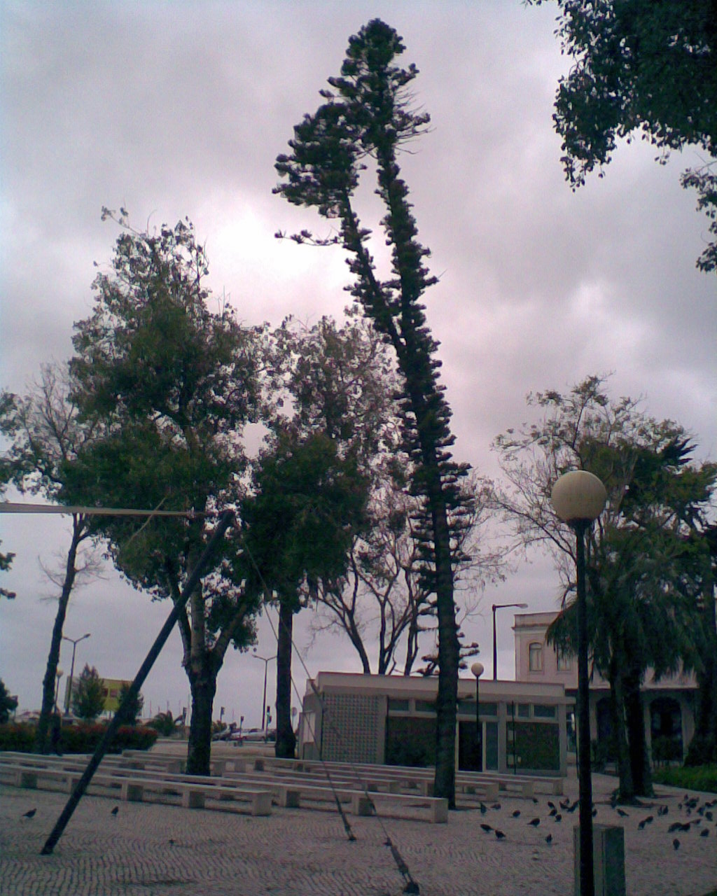 [Img052.jpg]
