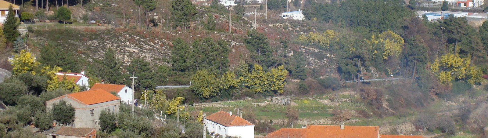 [DSC02128_edited.JPG]