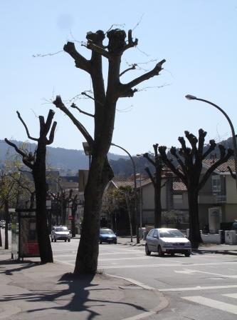 [DSC07752.JPG]