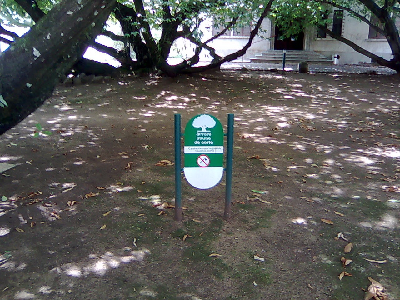[castanheiras_07.jpg]