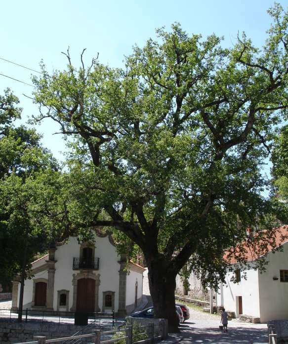 [DSC08267_edited.JPG]