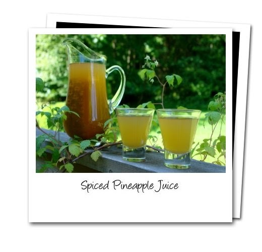 Shanghai Monkey What to do with Leftover Pineapple Rinds?