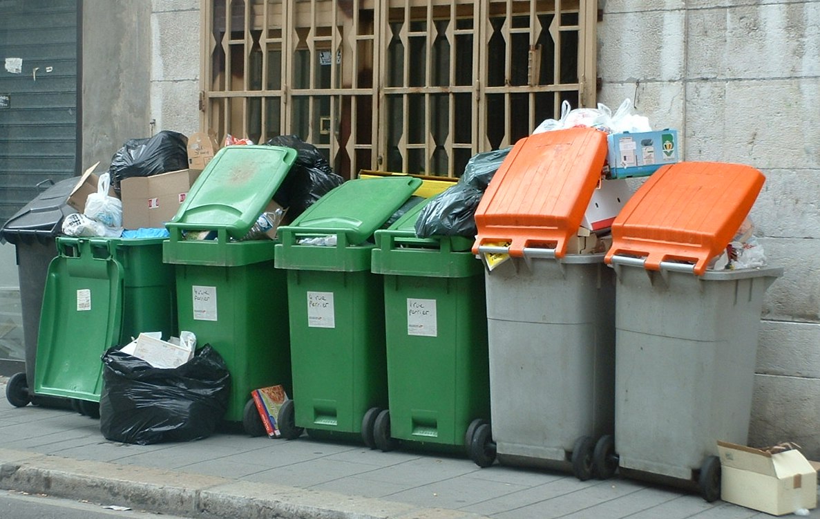 [bins.JPG]
