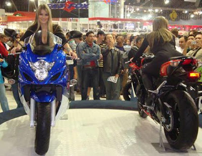 Gatas + Motos Gatas + Motos