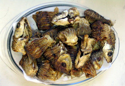 [peixe_frito.jpg]