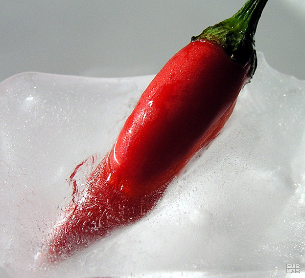 [hot%20or%20not.jpg]