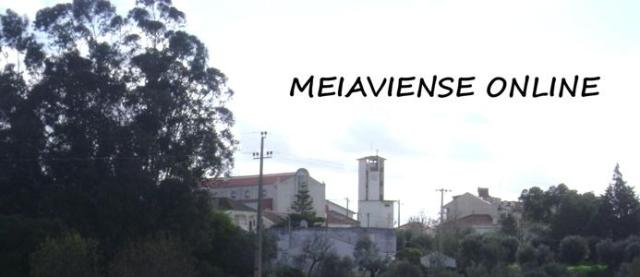 MEIAVIENSE ONLINE