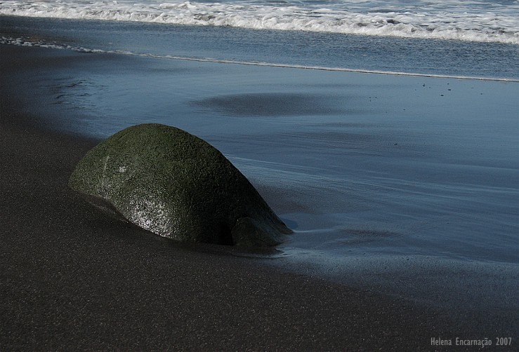 [praia55.jpg]