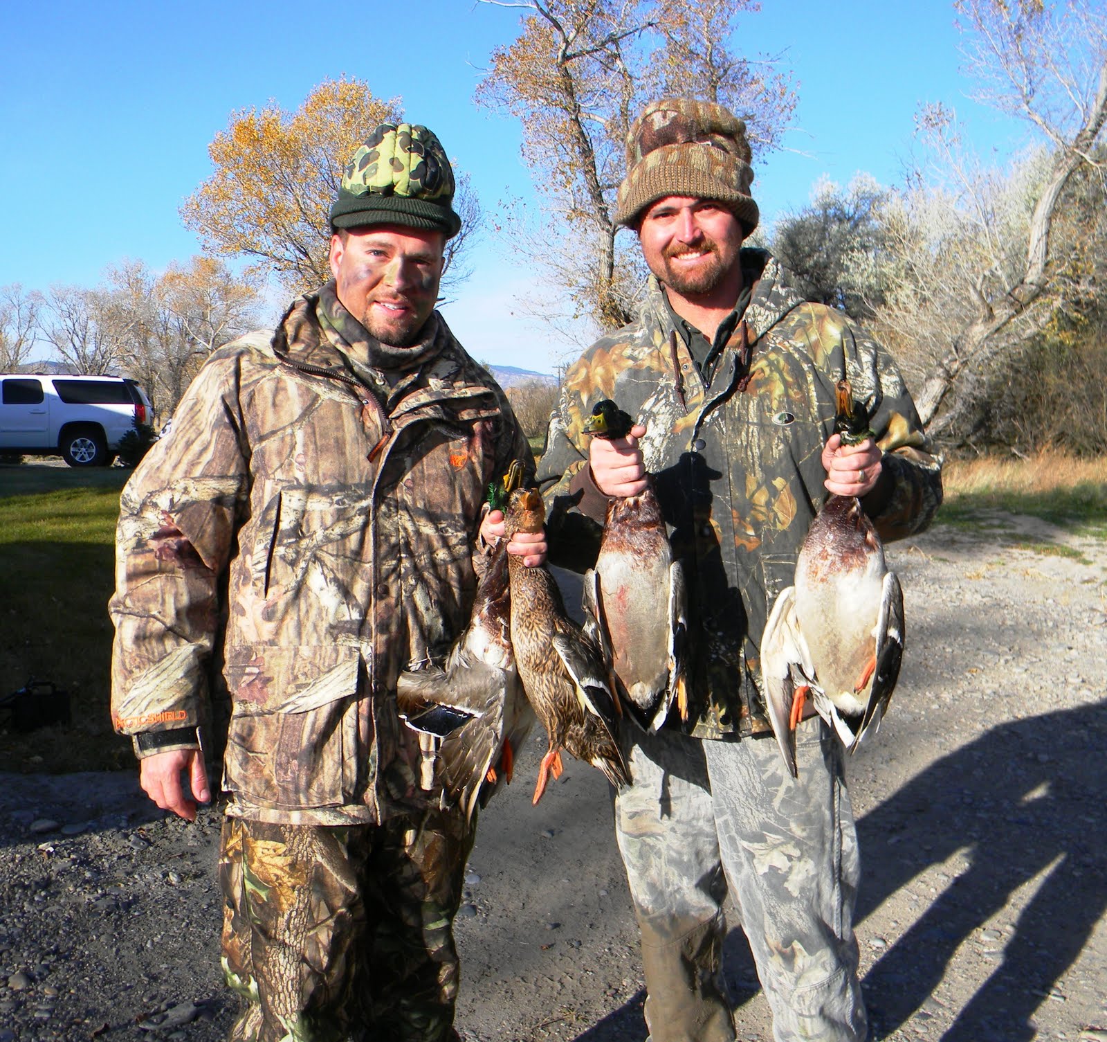 The Wild Life The Waterfowl of Montana