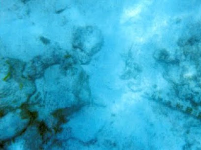 Natalee Holloway body found: