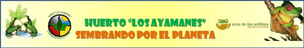 Huerto "Los Ayamanes". Sembrando por el Planeta