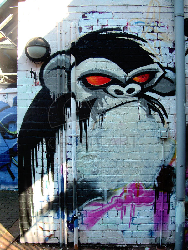 Black Monkey Black Monkey