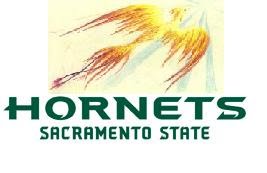 [pheonix+hornet.jpg]