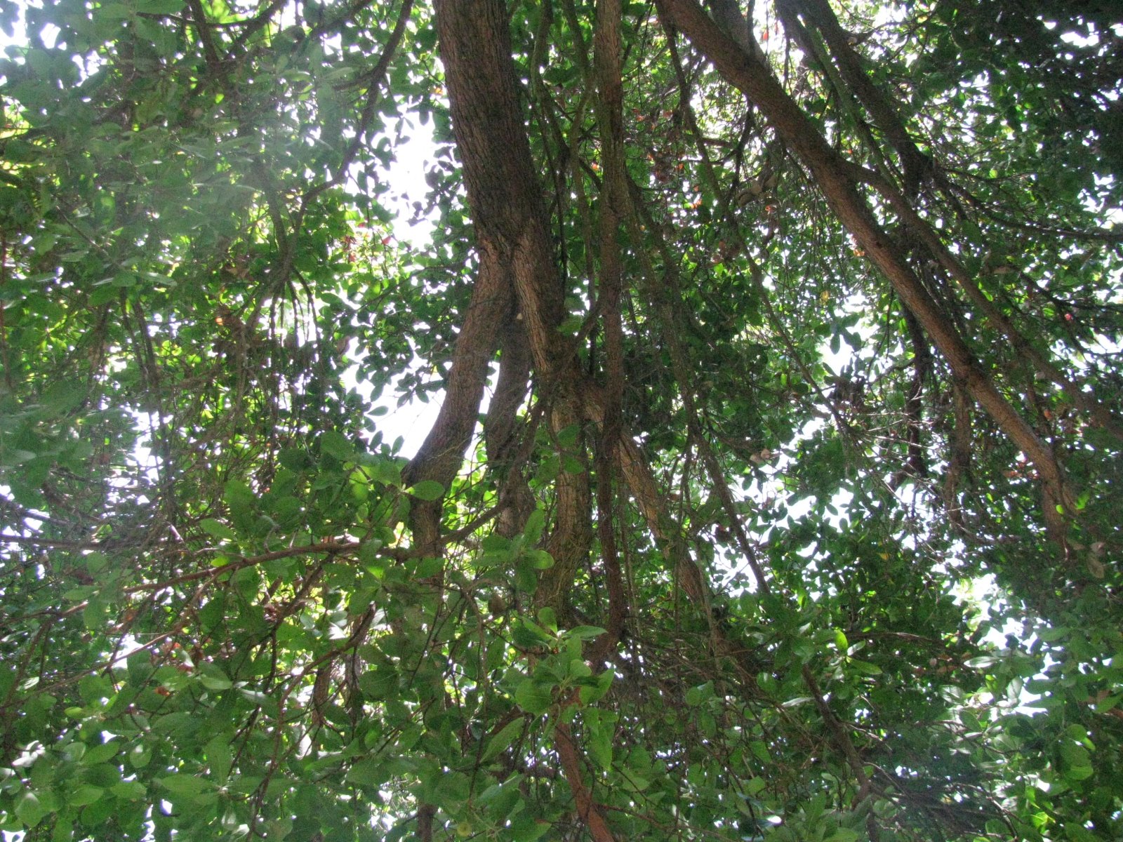 [IMG_5009.JPG]