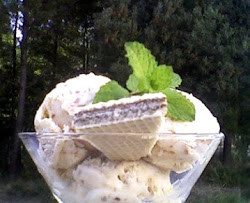 Gelado de Feijão Branco com Amendoim