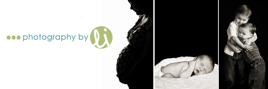 Photography By Li - Logan, Utah/ Cache County Utah Photographer