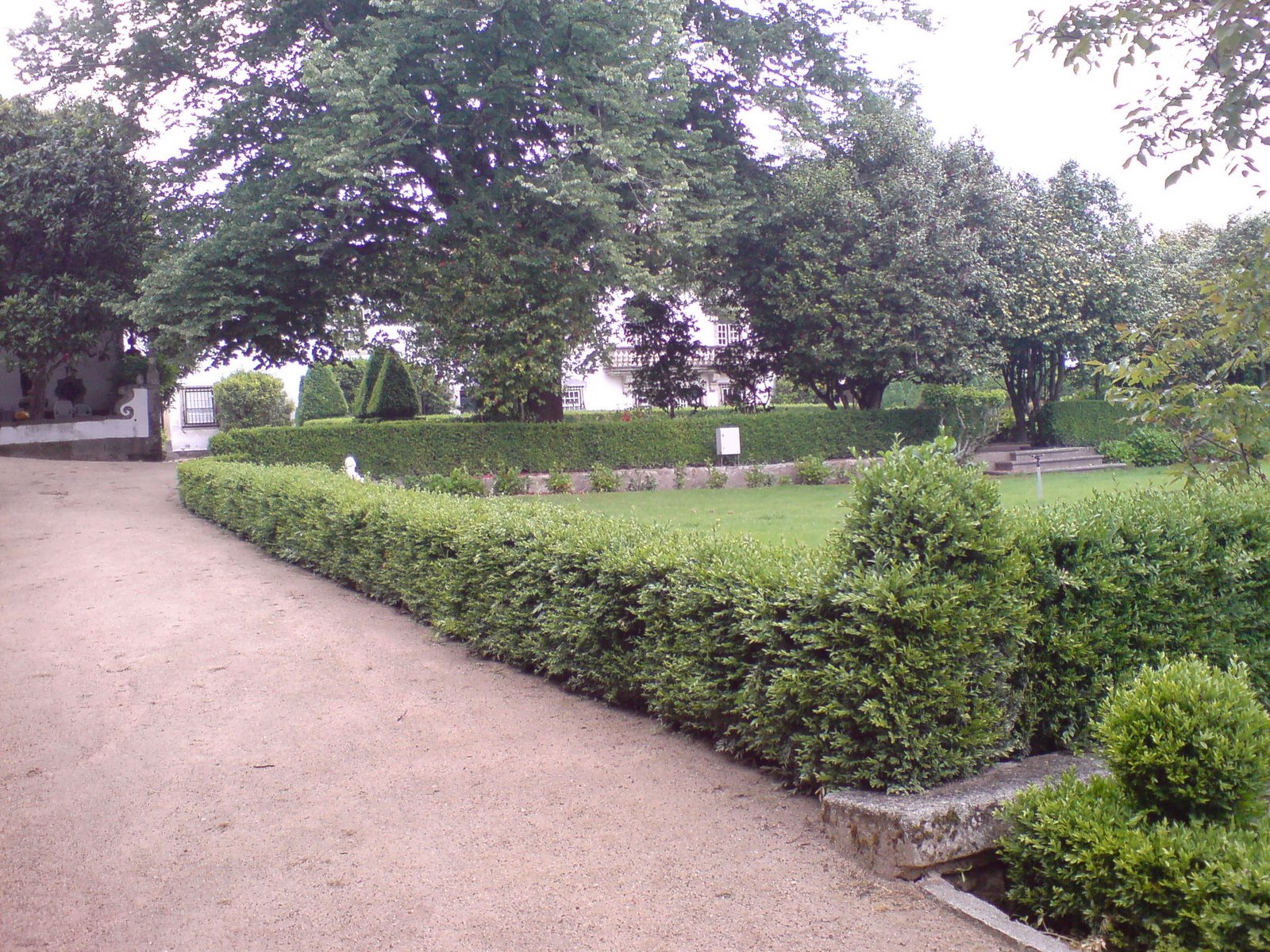 [DSC00404.JPG]