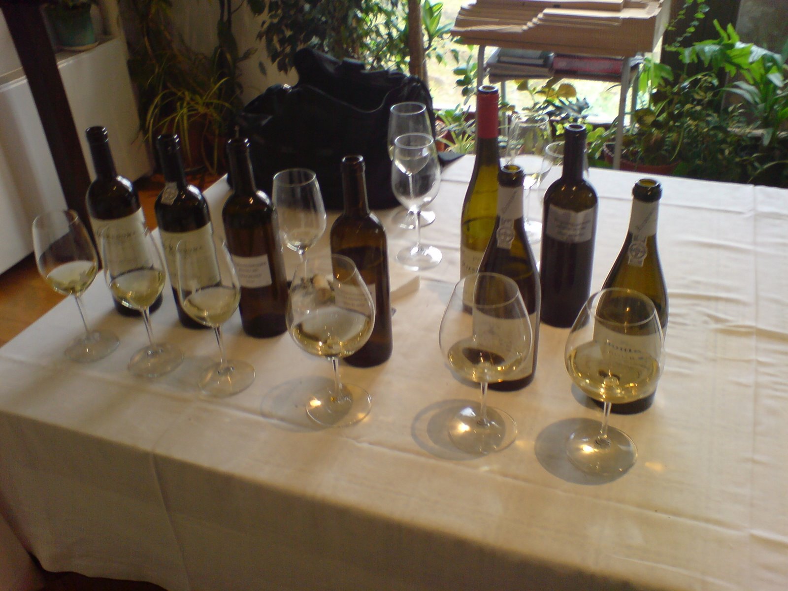 [DSC00415.JPG]