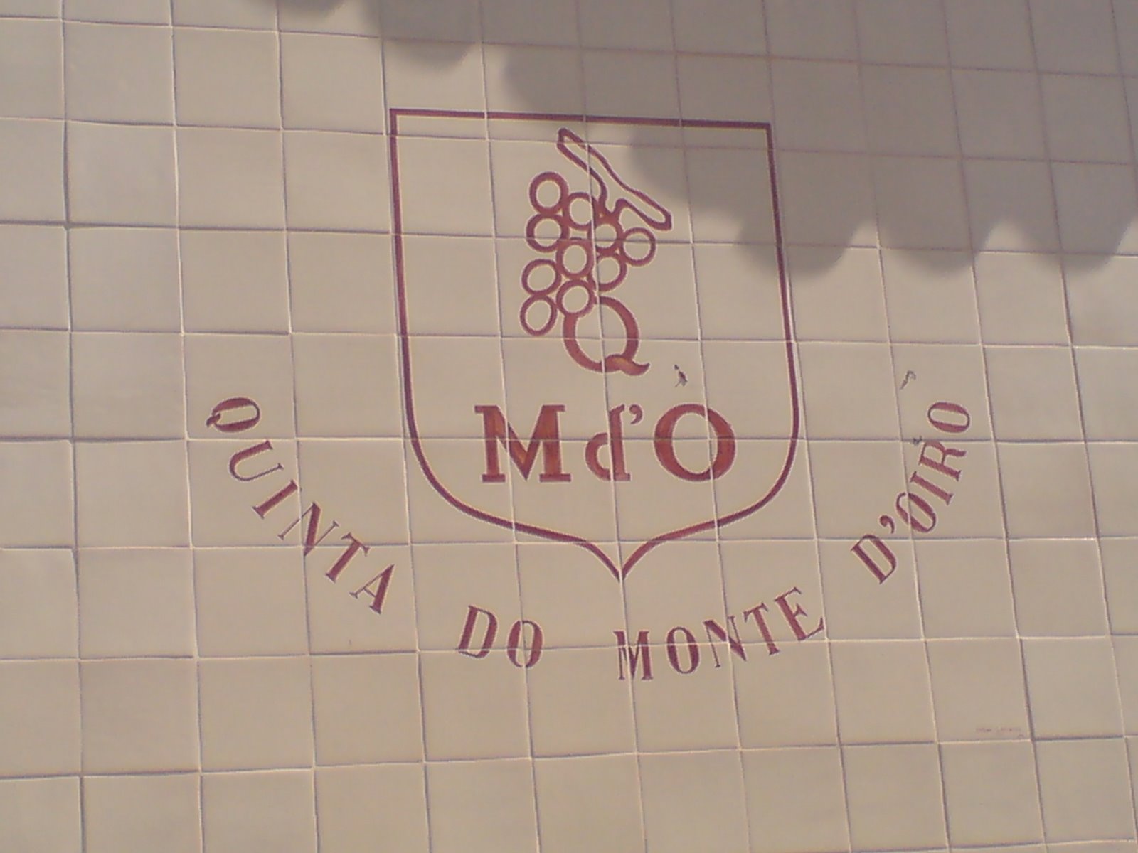 [DSC00574.JPG]